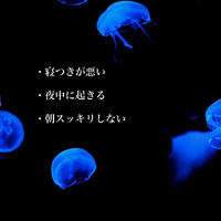 画像411