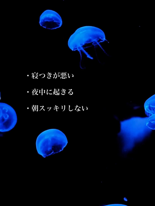 画像411