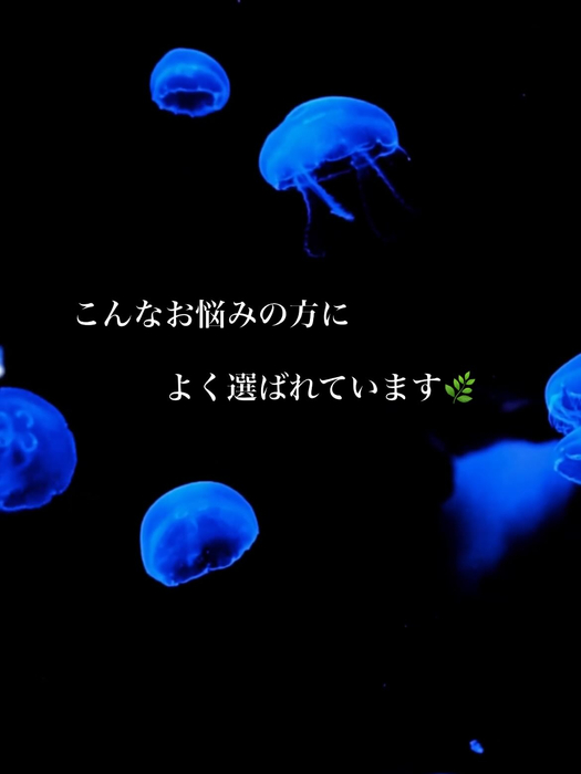 画像413