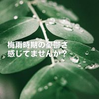 画像455
