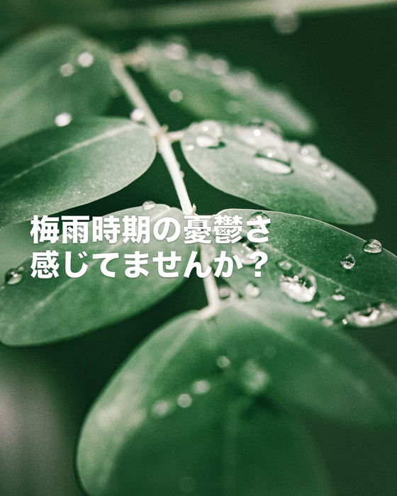 画像455