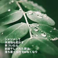 画像456