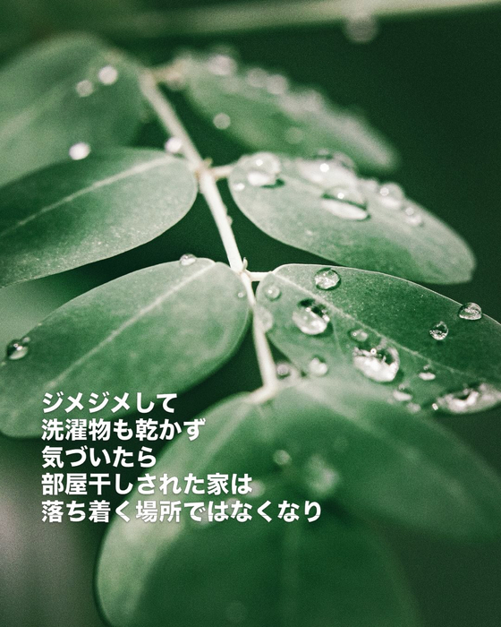 画像456