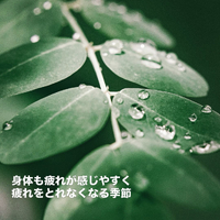 画像457