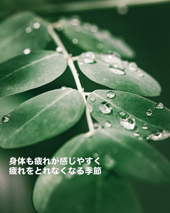 画像457
