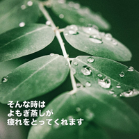 画像458