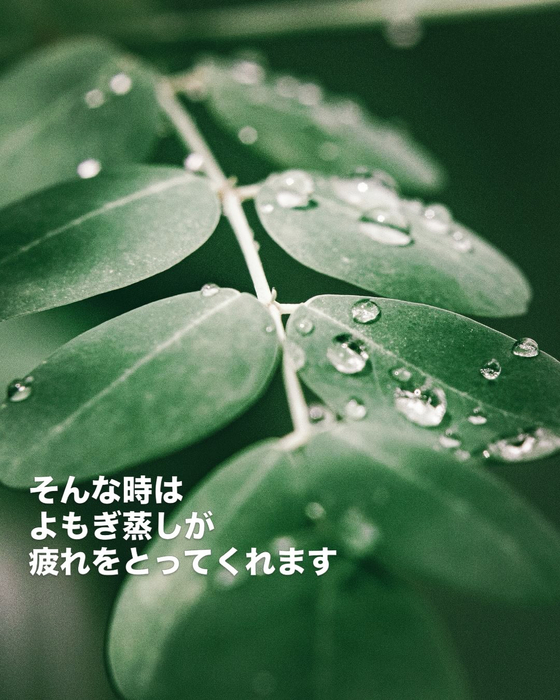 画像458